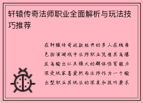 轩辕传奇法师职业全面解析与玩法技巧推荐
